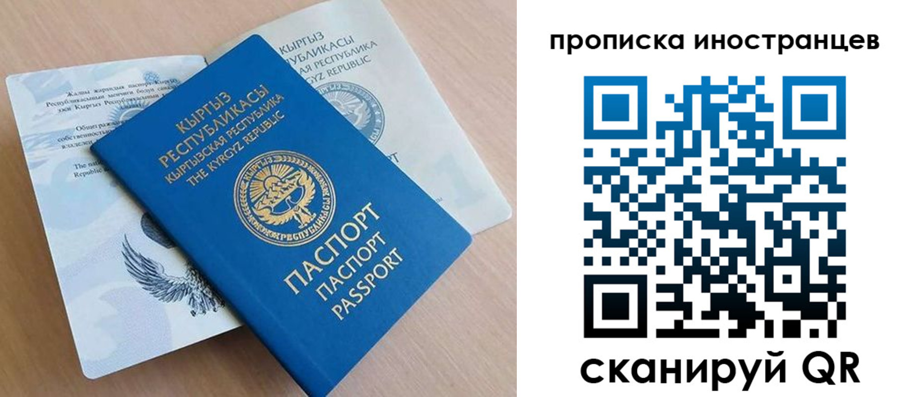 временная регистрация гарантия в Волгоградской области